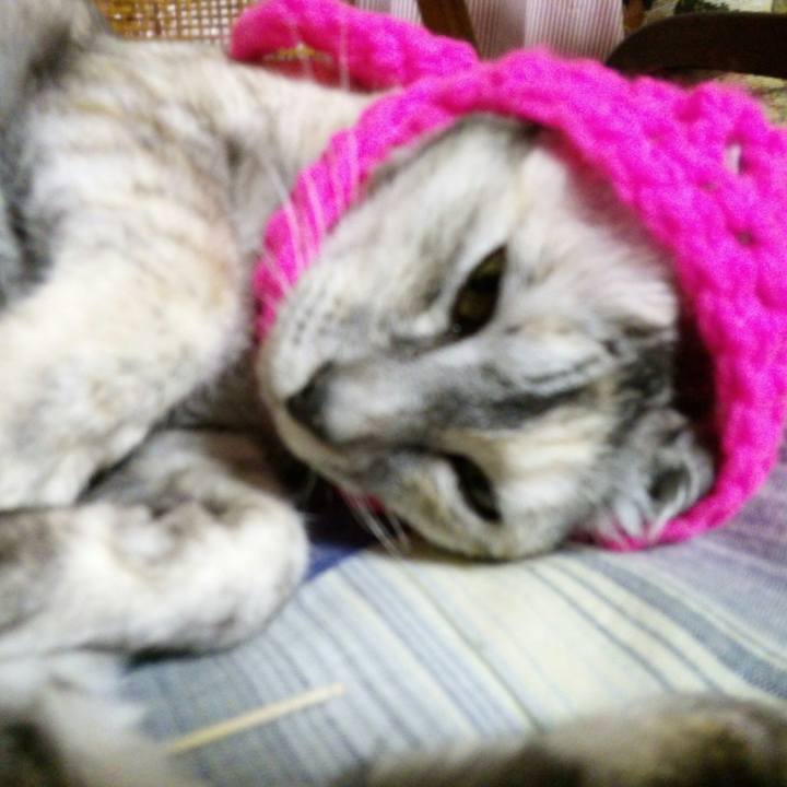 6cefe246 1566 4aba 9f77 981b86e545cc