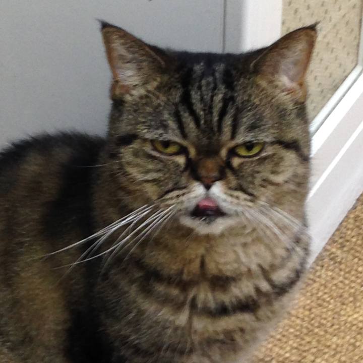 6cf123d6 bb60 40c5 8b30 46974324089f