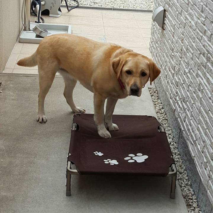 6cf126f6 4f7c 4ea2 971d cc58341555f7