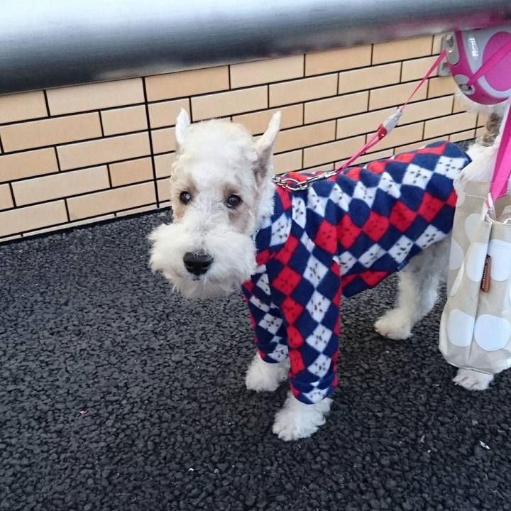 6cf1b67e 2d8b 440b 9324 c5c252f41e6a