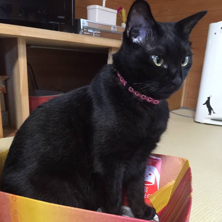 6cf2a629 2bce 42d6 977d 8400d43d76cf