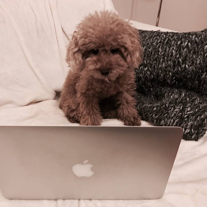 6cf2b443 fe26 4814 8ca3 48fc959be57e