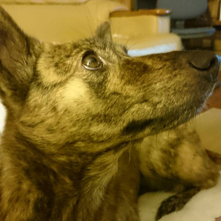 6cf33f84 93cb 42e9 9a1a 2023d2d54631