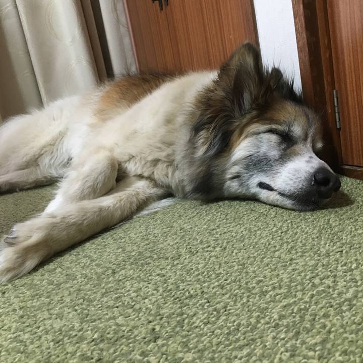 6cf35b09 8959 4442 b5a3 ce31c7ad30b5