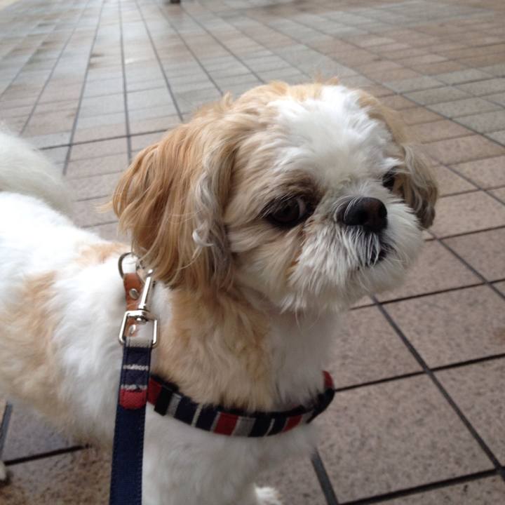 6cf4447b 90c8 46e2 ae28 c8fd26990c18