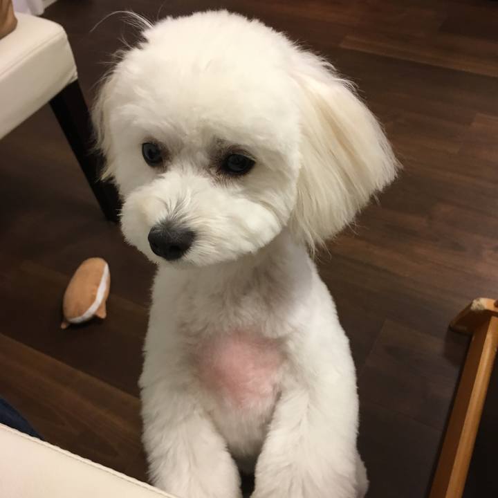 6cf44ec3 ff5f 4062 aec4 6f6594e98fbe