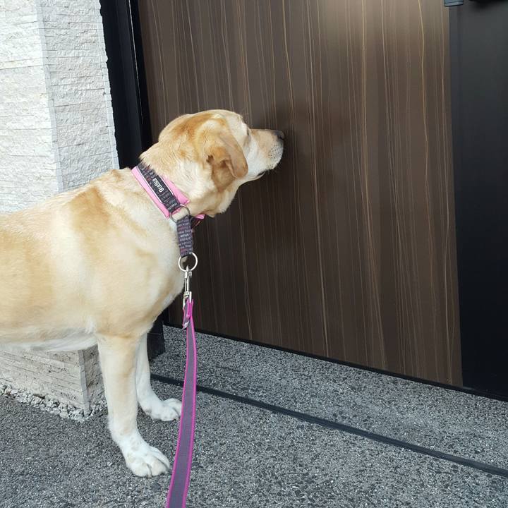 6cf4bc8e 78f7 4a11 b7d9 65b1dae30c35