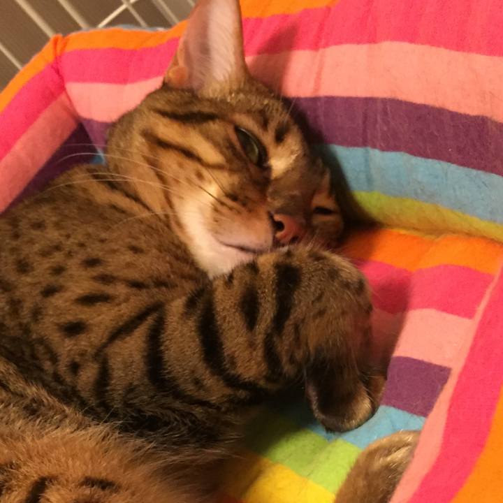 6cf4ecd7 d37e 4fa2 8cc3 d5f779381d70