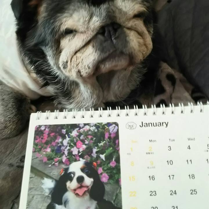 6cf50717 aad8 4ee8 94d1 ba3af66e6827