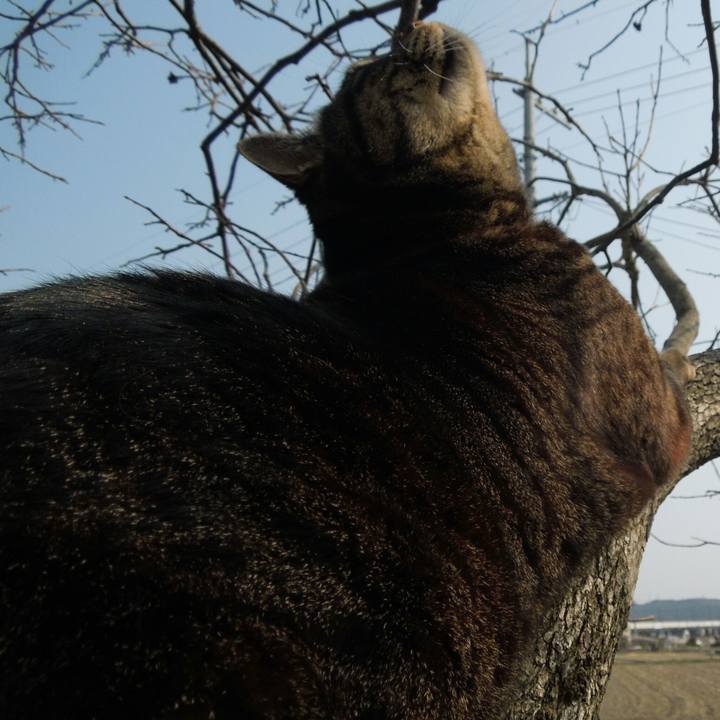 6cf55a9e 4694 4e06 88a8 1328bbf9c14a