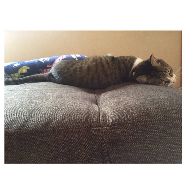 6cf5662c c1a3 40f8 9391 a62948746378