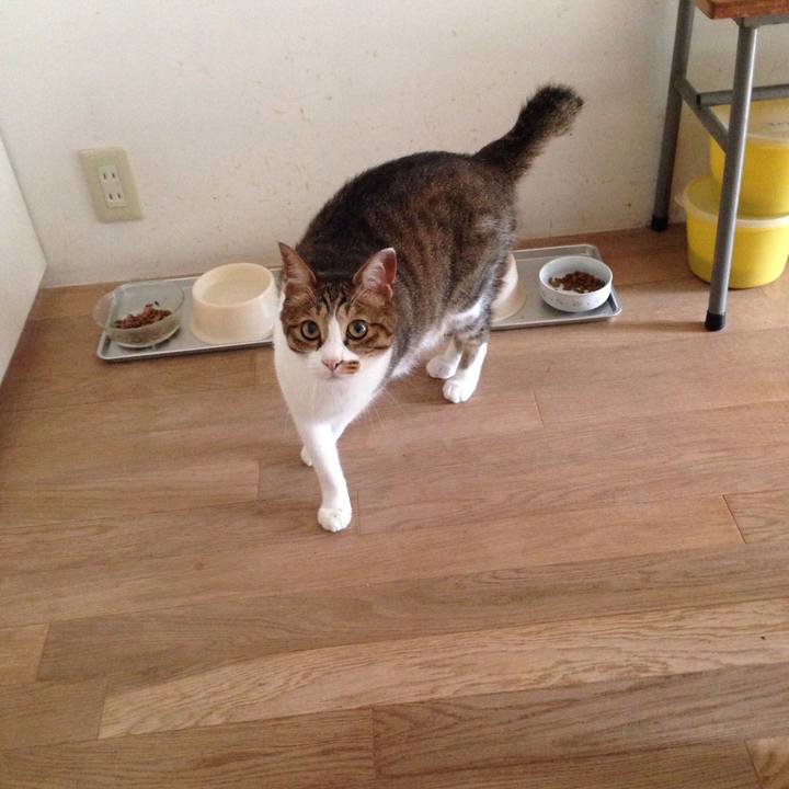 6cf5d55b a507 4ab1 a23d 8bc60da10ce0