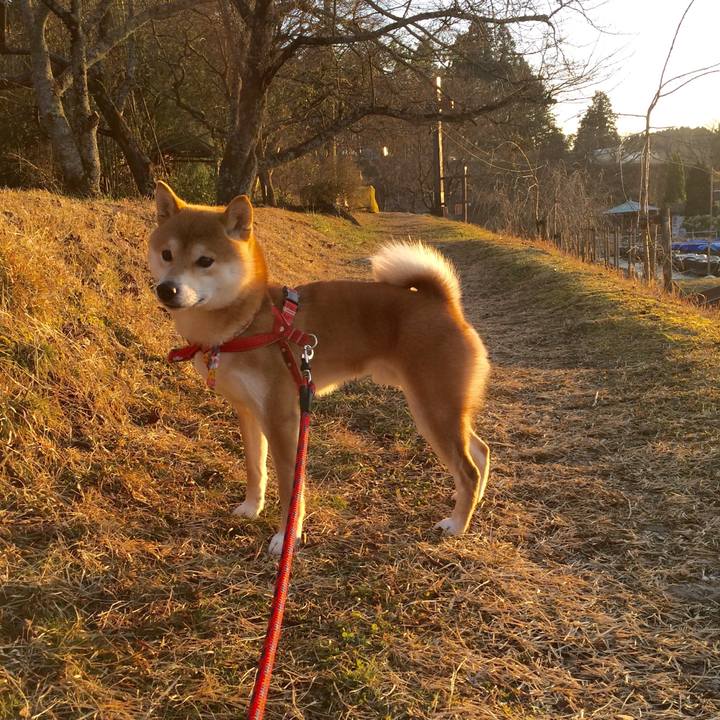 6cf5e1ec 48fa 4d0c bb41 e30b3de638d3