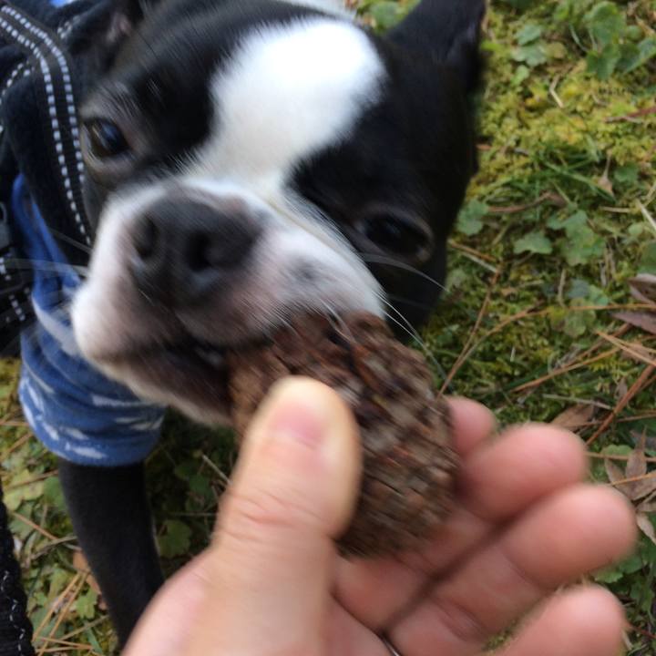 6cf64e1d 35d0 40d2 88fb c61adcd12f15