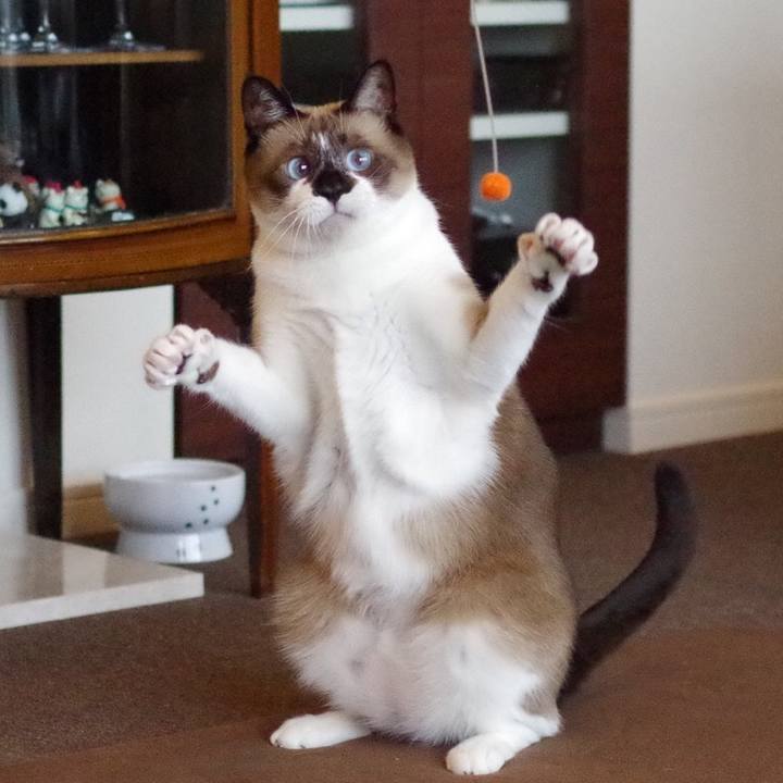 6cf66b76 da81 4fe1 9bf2 20b7f2398c95