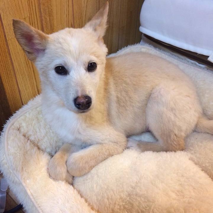 6cf6841a fae0 4d79 8df0 f2b3de2dd509