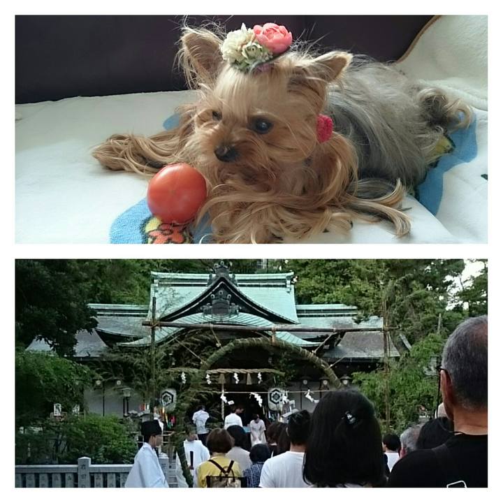 6cf709b8 6912 4f3d 87f9 4ca92c3a7eb3