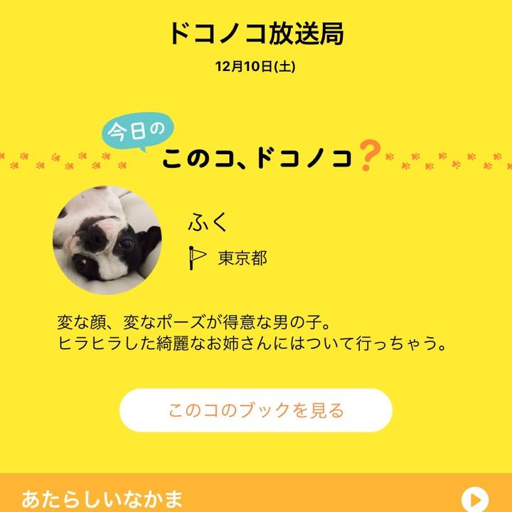 6cf74275 c80d 400a 8bfb df9e75298f95