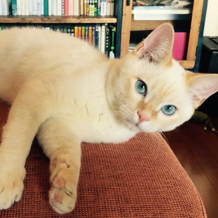 6cf79e83 d18c 4a0d a903 a4fd3de988da