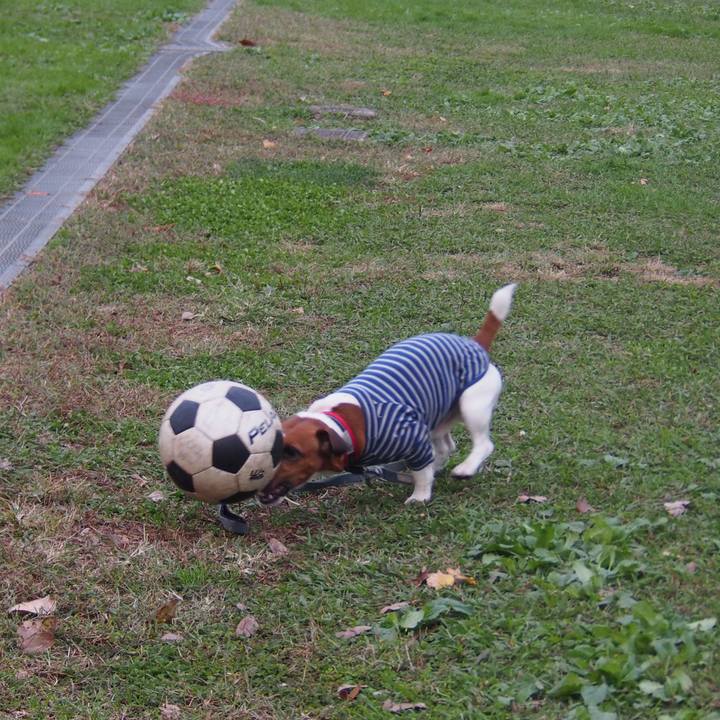 6cf87ed7 311b 47d7 8905 92200eb61a43