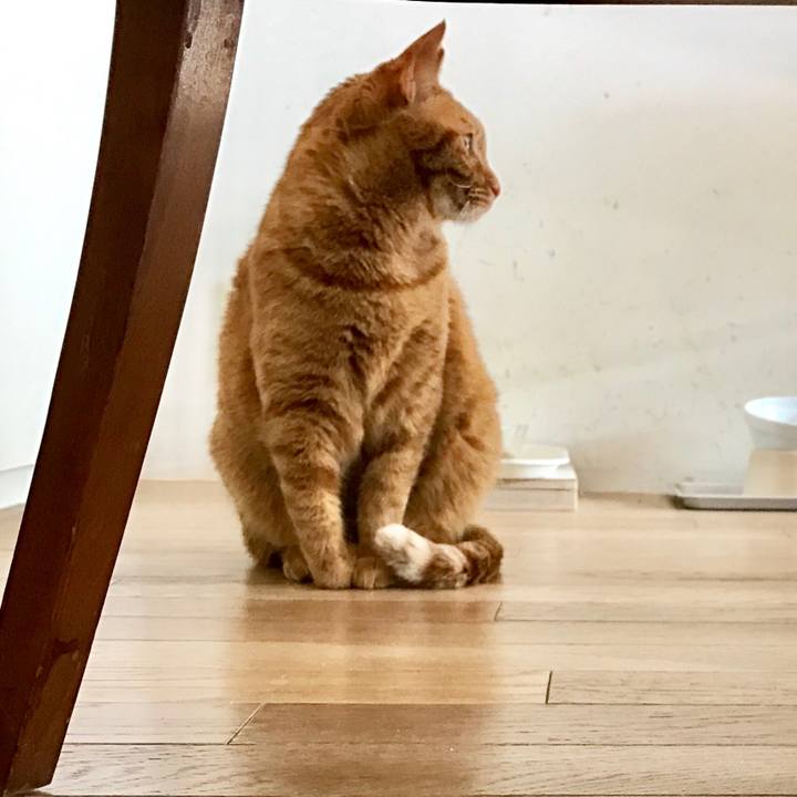 6cf88810 adc0 41be a96d 15134d432e9f