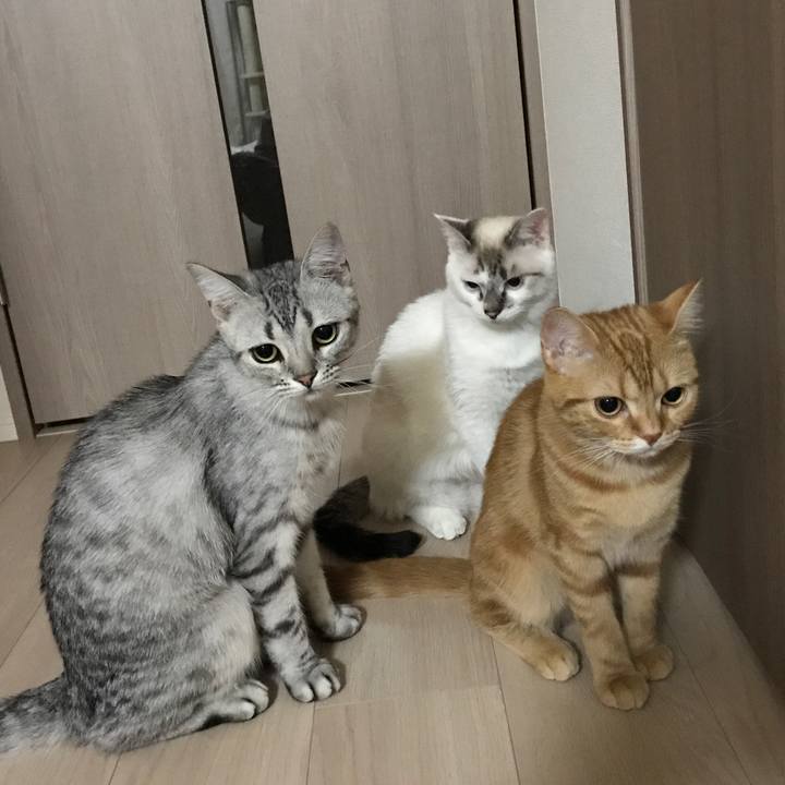 6cf943d9 8e43 4f6e 9e73 d6166b7a9ae5