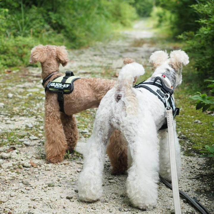 6cf9f7a9 29d0 487b 824f 3ac31e3b5c11