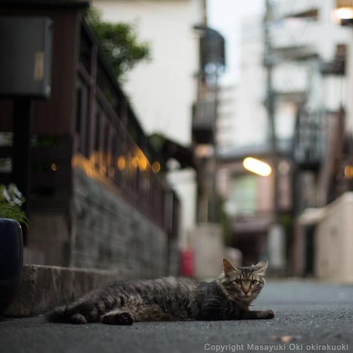 6cfa188f 1a60 4337 a2bb b8bdd9a8a8a6