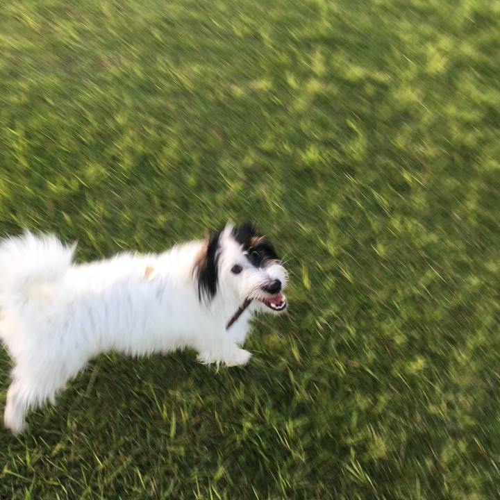 6cfa3e16 0058 47c6 ae2d 4f3a2b4a3ad5