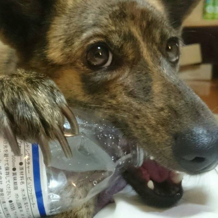 6cfad292 6465 42ff bdc9 b5be1d87d775