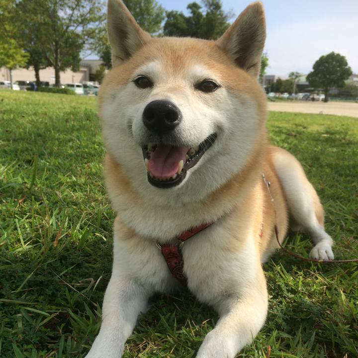 6cfae75b fdfd 4235 8699 cf8b95e0f04f