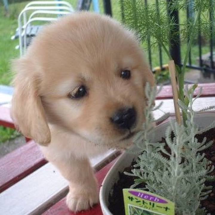 6cfaec1b 8171 4a63 a7a6 dbbc3b451866