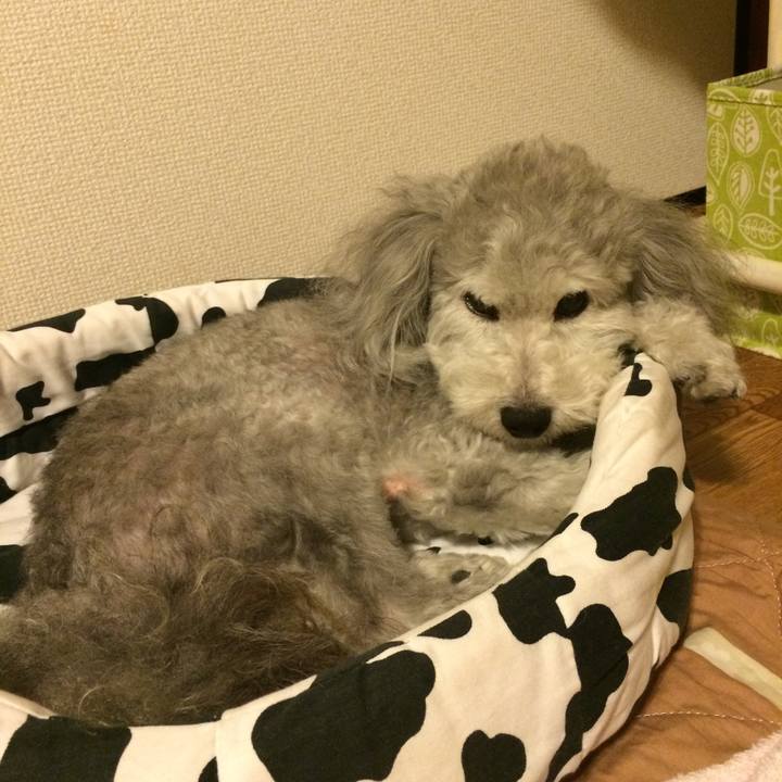 6cfafbb8 7f7a 43c2 9579 a61d00e81ce1