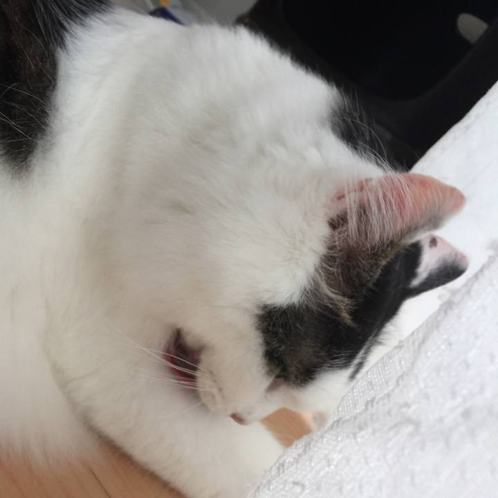 6cfb0c2d a3b3 4331 a62c aff9f58bbbe9