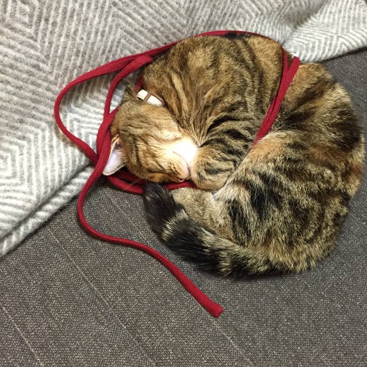 6cfb1360 bc3a 4401 81bc 50cbb1a899d0