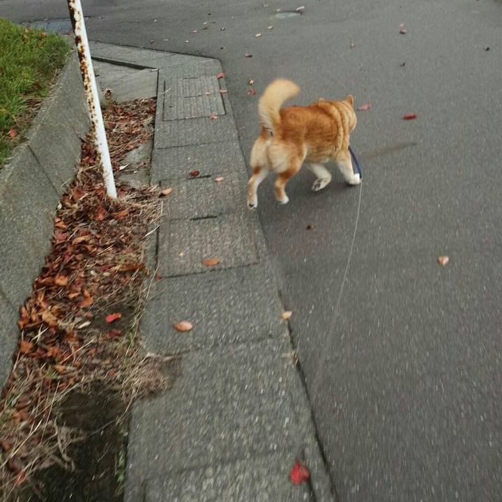 6cfb1ef9 e645 498f 8a79 6a1ada0752f0