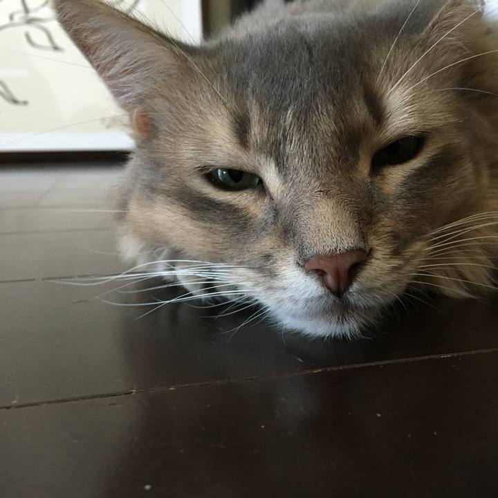 6cfb22f9 4f27 444d b65b 693f0b1ac3ff