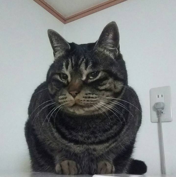 6cfb2471 5b02 4d6c 834f b804b40acc75