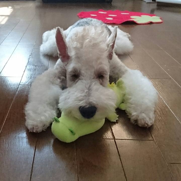 6cfbce4b 9d66 4190 af2c de19a9b667a5