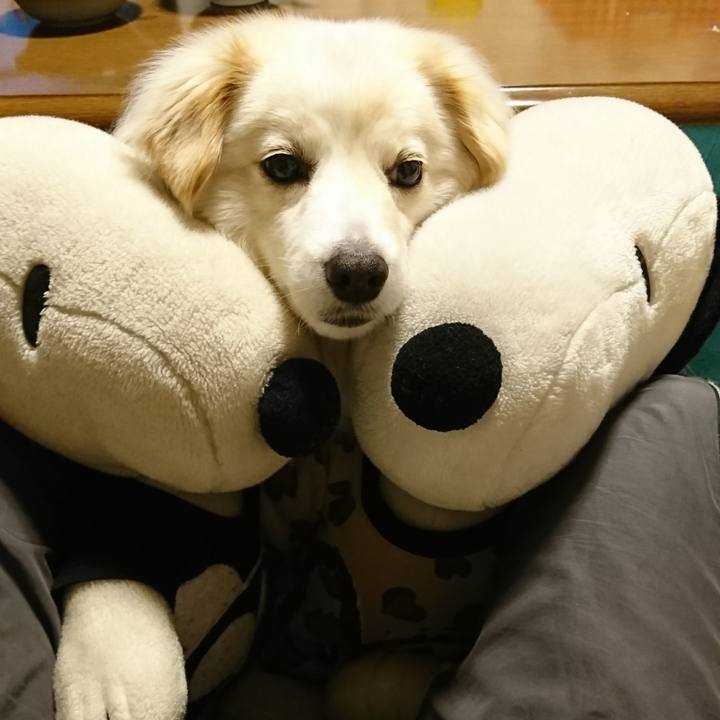 6cfbdeb3 85a4 477b 9d08 cd8f220e17a5