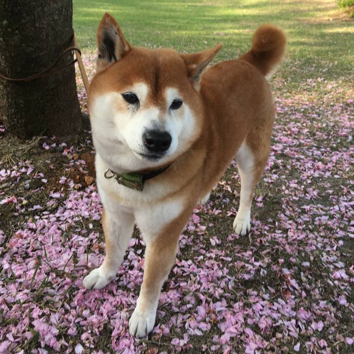 6cfce7af bb7b 4a4c 9314 f6824255bcce