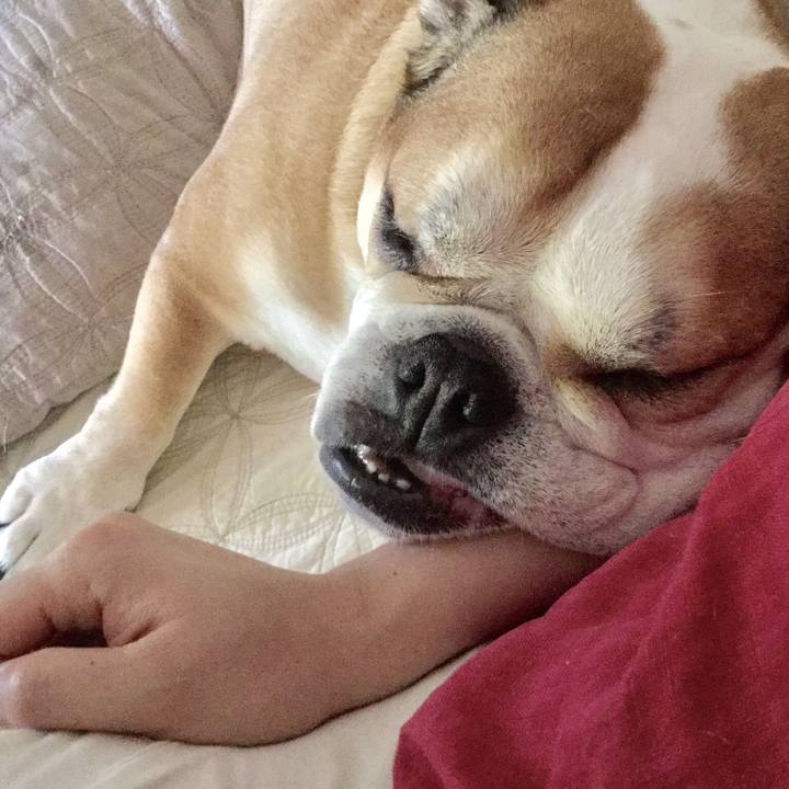 6cfd4e0f bcfb 4193 932d f6d10b60221e