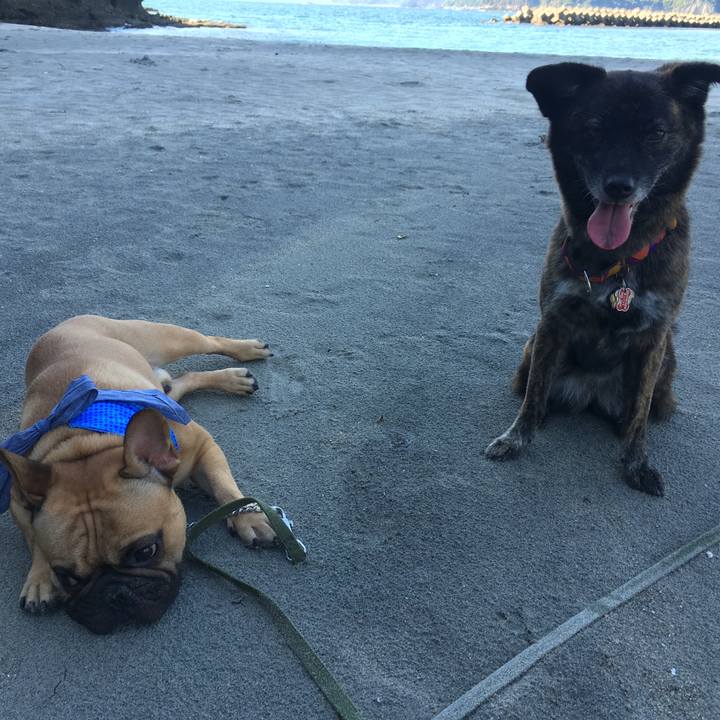 6cfd76b9 91da 43be aeb1 c934c31b4343