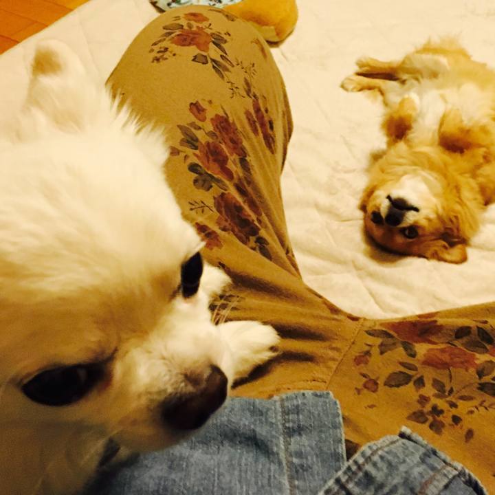 6cfd8bb3 9c5b 4922 831c af6b91f2caf0