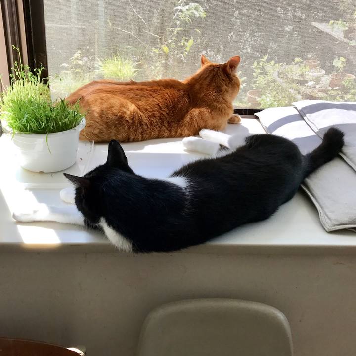 6cfd9512 c4f5 42c2 bae7 a8e57a212b9d