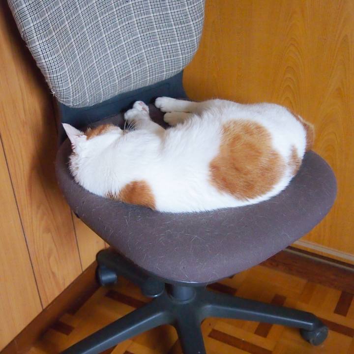 6cfdebc5 47f5 4a1e 8cb6 1de1958a5d39