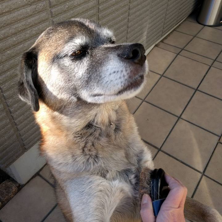 6cfdf24a 5890 4b17 b48d f35b3827c6e2