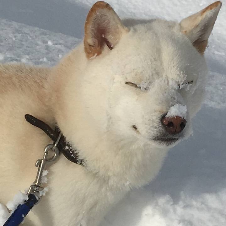 6cfe156f 6fa8 422a b7d2 9ab0bf843e7a