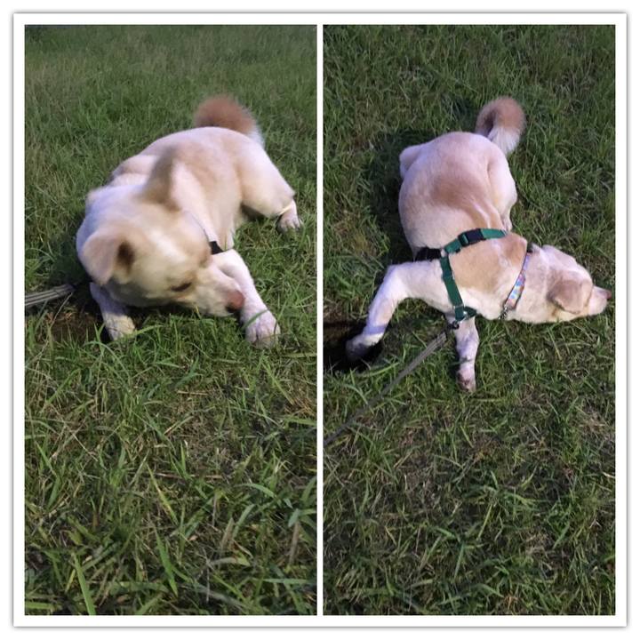 6cfe3209 3239 46a6 9ea7 62c864246ef1