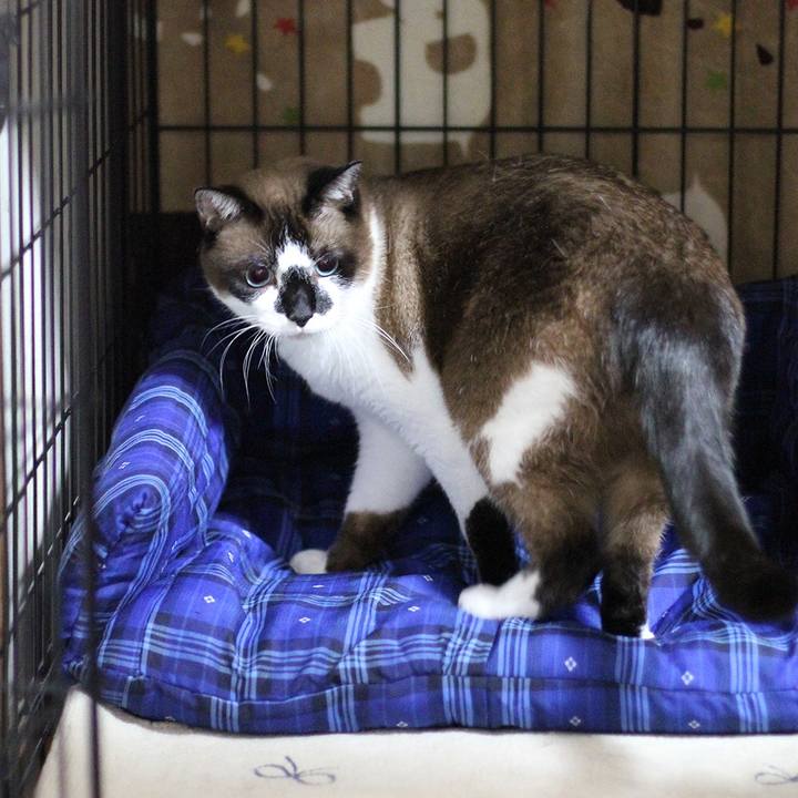 6cff88c2 f6b0 404a 8fd4 bbb54f62f14d